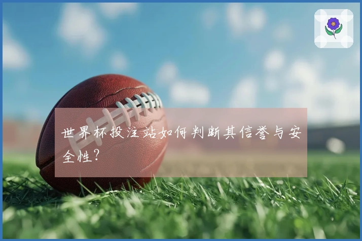 世界杯投注站如何判断其信誉与安全性？