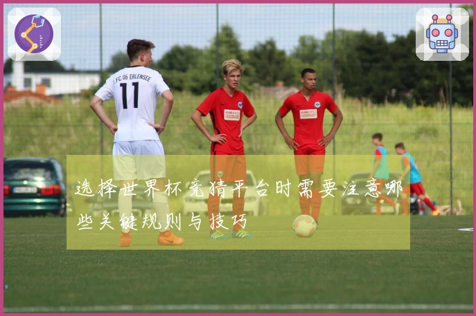 选择世界杯竞猜平台时需要注意哪些关键规则与技巧