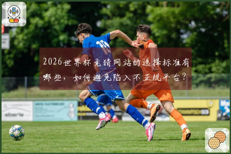 2026世界杯竞猜网站的选择标准有哪些，如何避免陷入不正规平台？