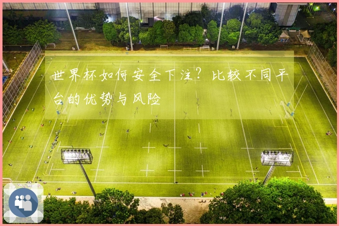 世界杯如何安全下注？比较不同平台的优势与风险
