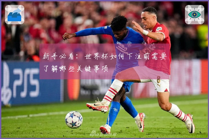 新手必看：世界杯如何下注前需要了解哪些关键事项