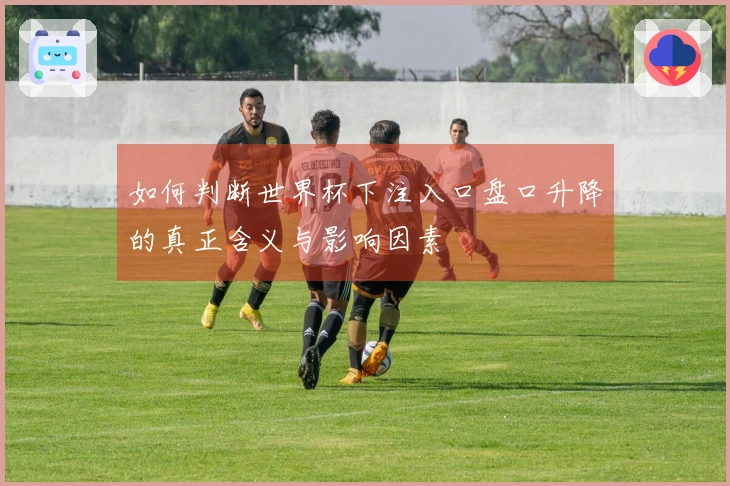 如何判断世界杯下注入口盘口升降的真正含义与影响因素