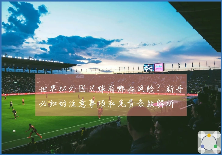 世界杯外围买球有哪些风险？新手必知的注意事项和免责条款解析