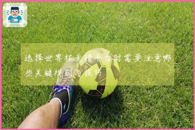 选择世界杯竞猜平台时需要注意哪些关键规则与技巧