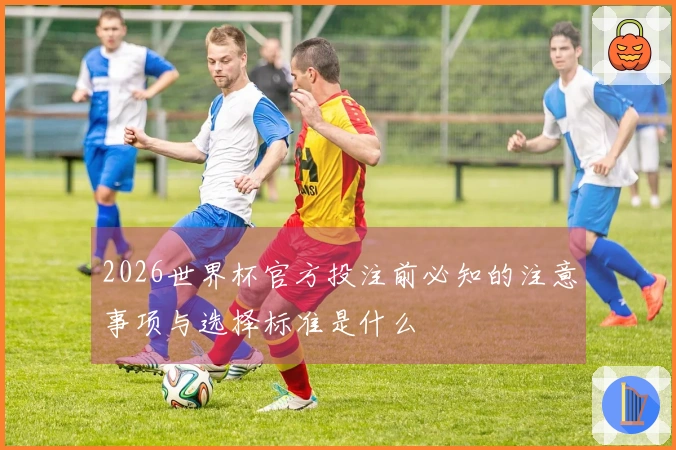 2026世界杯官方投注前必知的注意事项与选择标准是什么