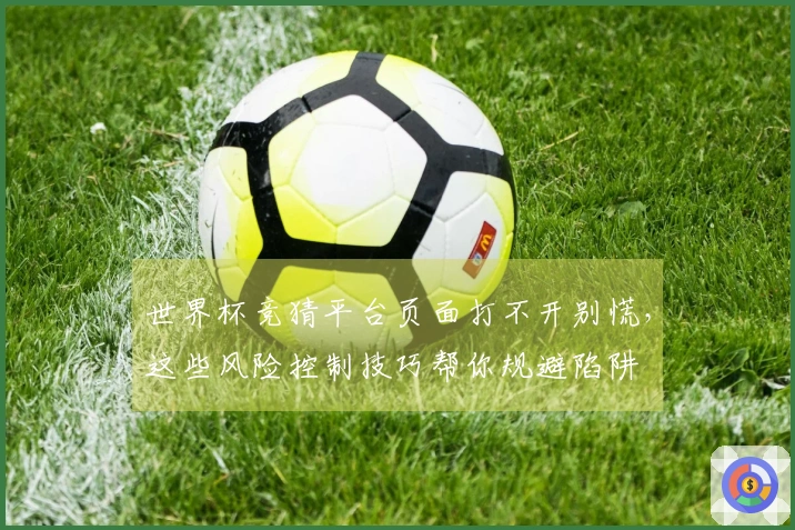 世界杯竞猜平台页面打不开别慌，这些风险控制技巧帮你规避陷阱