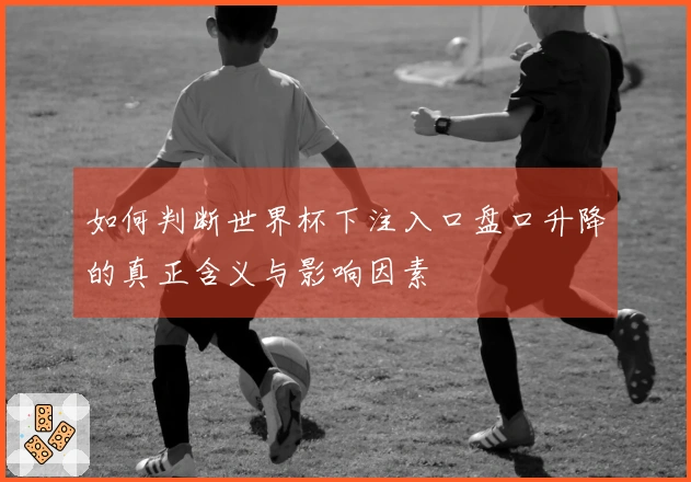 如何判断世界杯下注入口盘口升降的真正含义与影响因素