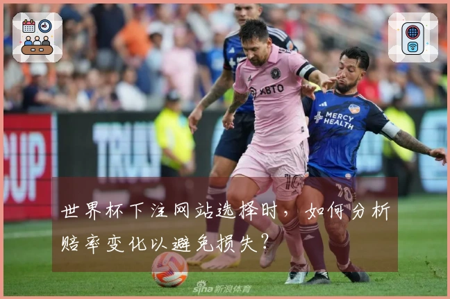 世界杯下注网站选择时，如何分析赔率变化以避免损失？