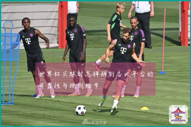 世界杯买球时怎样辨别各大平台的可靠性与规则细节